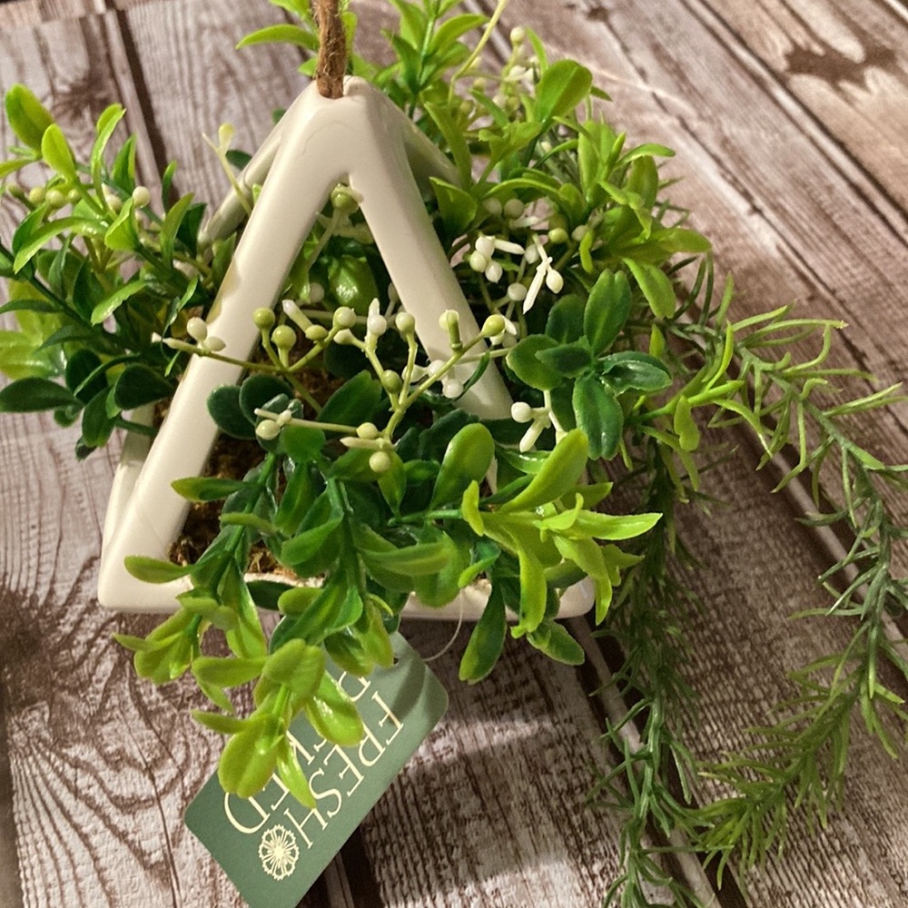 Hanging Plant Arrangement (Set of 2) - Picture 3 of 5
